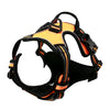 Dog Harness