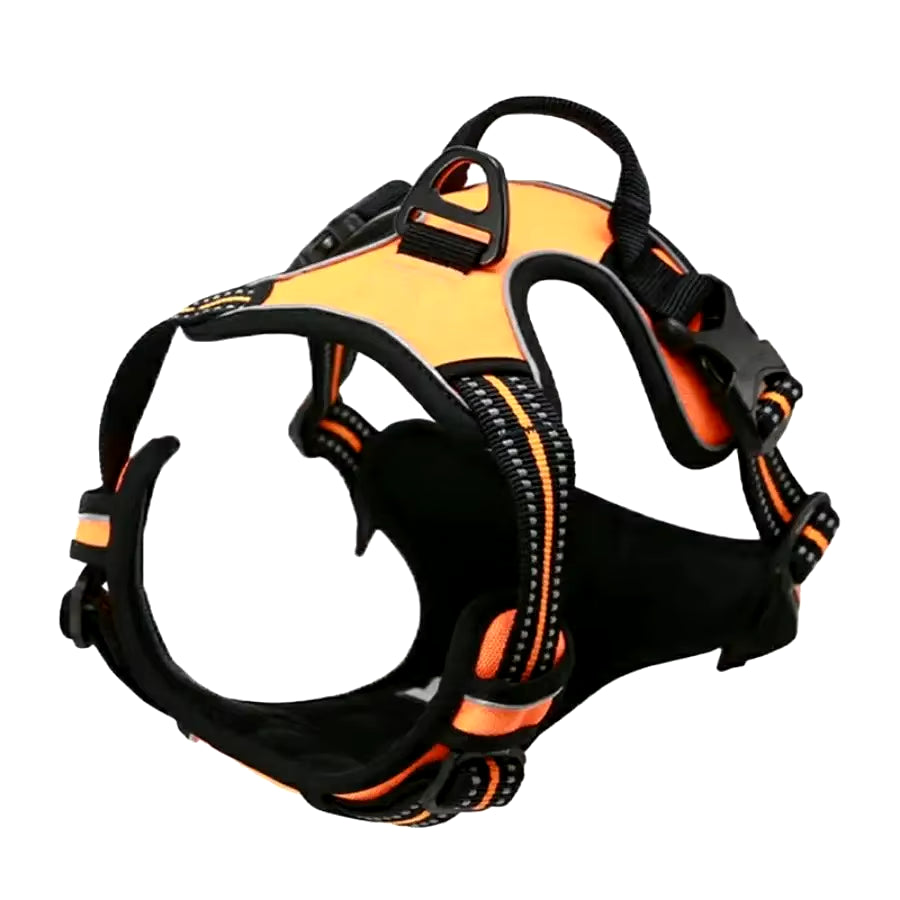 Dog Harness