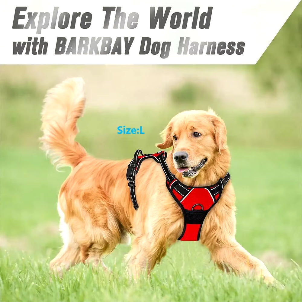 Dog Harness
